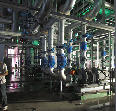 卡箍<a href=http://www.xinligd.com target=_blank class=infotextkey>橡膠接頭</a>樣品圖